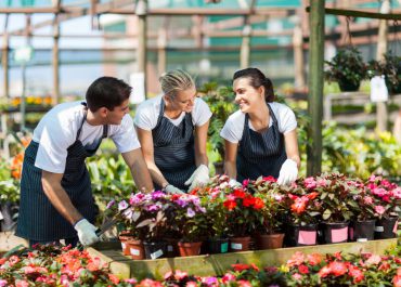 FLOWERS IN YOUR GARDEN. THE BEST SORTS OF FLOWERS FOR OUTDOORS.