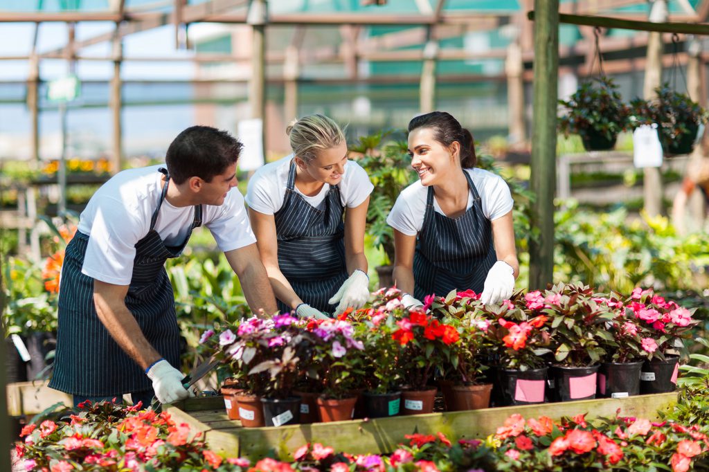 FLOWERS IN YOUR GARDEN. THE BEST SORTS OF FLOWERS FOR OUTDOORS.